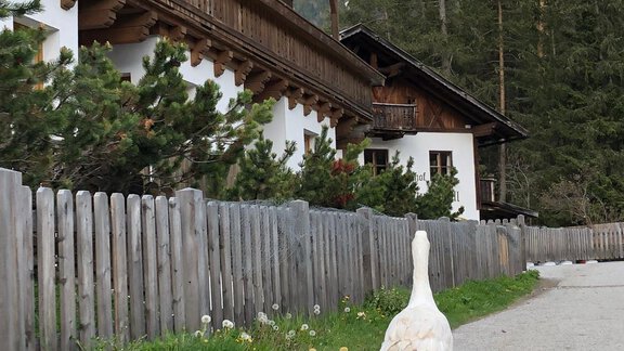image00007.jpeg - Gasthof Stuibenfall - Niederthai