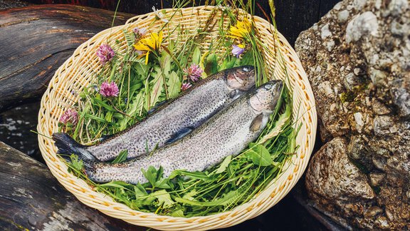 Stuibenfall_Food_2022_00125_web - Gasthof Stuibenfall - Niederthai