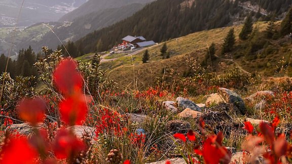 Abendrot - Acherberg Alm - Oetz
